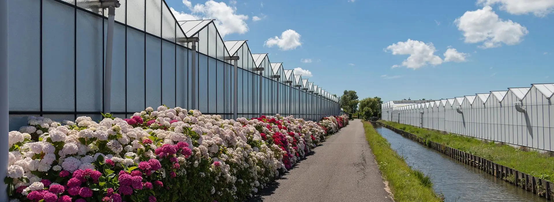 Tuinderslaan_9270